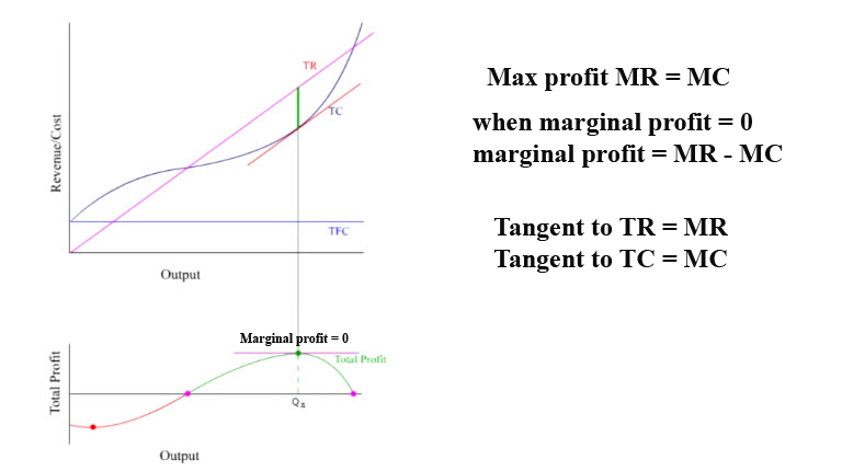 Living Economics Profit Maximization Of Price Takers Youtube Transcript